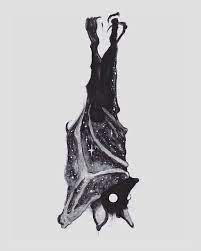 Community Wall Photos Bat Art Bat Tattoo Horror Art