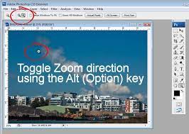 The other one that i want you to practice at home is this silly little thing eso adobe® photoshop® is a versatile tool that gives you incredible power, but it can be daunting in the. 8 Secrets Of The Zoom Tool In Photoshop