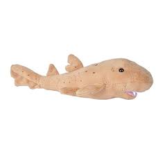Small Stuffed Bamboo Shark Sea Critters By Wild Republic Plush Animals Critter Shark