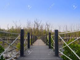 It works exactly like the wooden ladder, however, it can also be retracted and extended. Wood Path Way With Rope Railing Among The Mangrove Forest Stock Photo Picture And Royalty Free Image Image 16962386