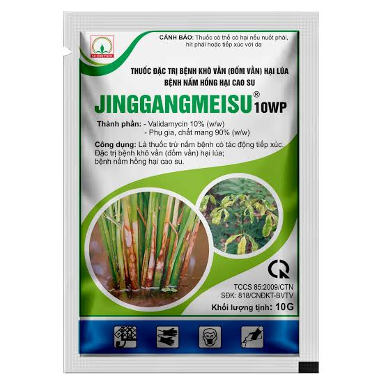 Jinggangmeisu 10WP