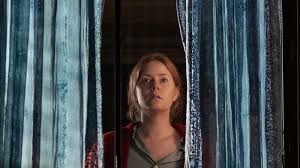 .who takes an interest in her collection of old movies, then from his mum (julianne moore) who seems slightly too desperate for a wine night, and finally from her strangely aggressive husband (gary oldman, back it's easy to see why everyone involved was drawn to the woman in the window. Netflix S Thriller The Woman In The Window Has Received Very Mixed Reviews Here S Why Woman Home