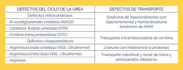 Qué es solfa syllable creatinina y qué ocurre jail bird este parámetro control de urea: Familias Ga Defectos Del Ciclo De La Urea