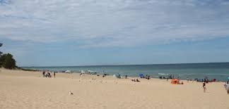 Ovgu Worldwide Study Programme