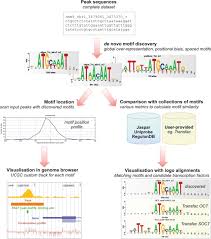 Schematic Flow Chart Of The Peak Motifs Pipeline For Sake