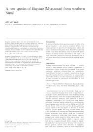 Image result for Eugenia natalitia