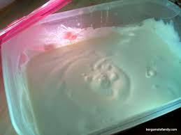 Faire Des Petits Suisses Maison C Est Bon Bergamote Family Petit Suisse Recette Yaourt Avec Yaourtiere Creme Glacee