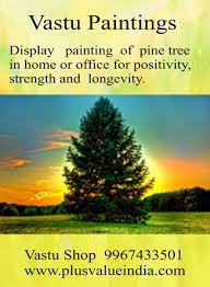 Vastu Painting Pine Tree Feng Shui How To Feng Shui Your Home Feng Shui Colours