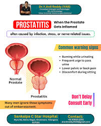 Image result for Prostatitis