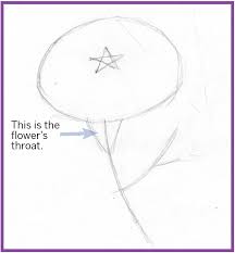 Art Thief: Draw A Petunia
