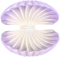 Open Clam Shell Png Clip Art Image Art Images Clams Shell Drawing
