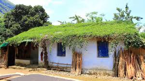 Tribal Cooking And Tribal Settlement In The Jungle Baralikadu Eco Tourism Youtube