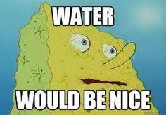 Spongebob Water Meme Google Search Splatoon Splatoon Memes Funny Spongebob Memes