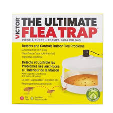 Victor The Ultimate Flea Trap M230a At Tractor Supply Co