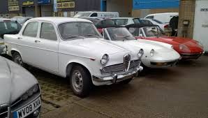 Image result for Ivory 1965 Alfa-Romeo