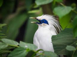Mongabay - News update
