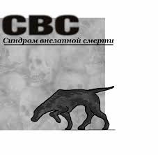 CВС Синдром Внезапной Смерти Бабулин К. Л. 2016 г (Константин Бабулин)   Проза.ру