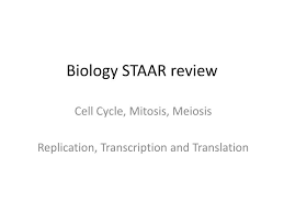 Get smarter in biology on socratic. Biology Staar Biology Staar Is May 9 2019