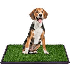 Perfect for entire backyards, or to create enclosed outdoor dog runs. 30 X20 Pet Potty Training Pee Dog Puppy Indoor Toilet Grass Pad Mat Best Buy Canada