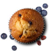 muffin manufacturers suppliers food connections muffin manufacturers suppliers food