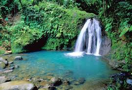 La Cascade Aux Ecrevisses A Basse Terre Photo Guadeloupe Guadeloupe Voyage Guadeloupe Basse Terre