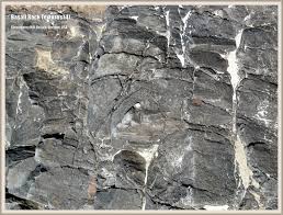 We did not find results for: Basalt On The Beach At Strawberry Hill Jessica S Nature Blog