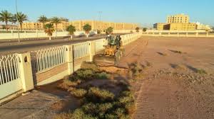 مجدولة الدمام في ممشى مصلى العيد و عصيرات أيمن. Hle6bwmjmrxc5m