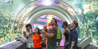 Milwaukee is the largest city in wisconsin, and regardless of the time of the year, there is always something interesting going on. Visit Milwaukee Family Attractions In Milwaukee