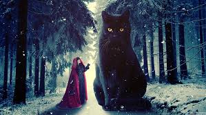 Cat Digital Art Photo Manipulation Photoshop Red Riding Hood Snow Hd Wallpaper Wallpaperbetter Find the best winter wallpaper hd on getwallpapers. wallpaperbetter