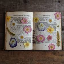 Drying out flowers in a book. Beginners Guide To Pressing Flowers Owl And Wallflower Journal