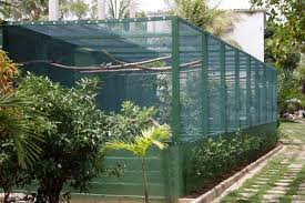 Pin On Cage And Aviary Ideas