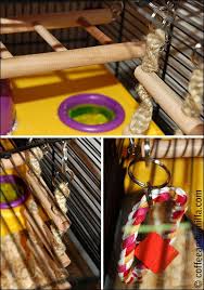 Toffy The Hamster His Kingdom Coffee Vanilla Peanut Free Foods Hamster Peanut Free