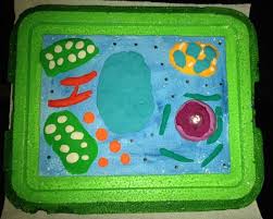 Jello plant cell model project. 23 Plant Cell Ideas Plant Cell Cells Project Plant Cell Project