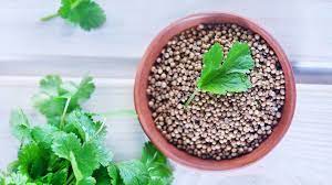 We did not find results for: The 7 Best Substitutes For Coriander And Cilantro