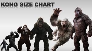 king kong sizes and movie apes