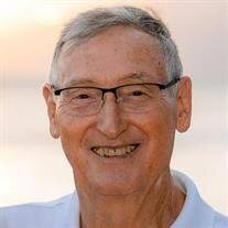 Michael (Dave) Rich Obituary