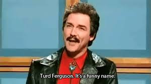 Image result for turd ferguson