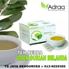 Teh dari daun durian belanda ada khasiat anti kanser. Original Hq Promosi Pkp Teh Daun Durian Belanda Original Beli 1 Kotak Percuma 2 Sachet