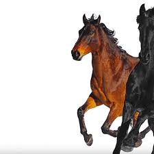 Old town road by lil nas x is the anthem of 2019 but while everybody can sing the lyrics, what do they actually mean? Lil Nas X Old Town Road Remix Ft Billy Ray Cyrus Audio Lyrics Download Mp3
