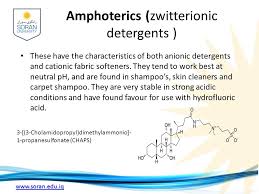 Ionic detergents contain a head group with a net charge. Industrial Chemistry Soap Detergents And Surfactants Kazem R Abdollah Ppt Video Online Download