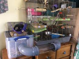 Rat Cage Extension Rat Cage Pet Rat Cages Pet Rats