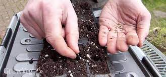 Experienced gardeners generally have their favorites. How To Make The Best Potting Mix For Starting Seeds