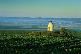 Sluncem prozářená jižní morava je významná několika světovými tradicemi, které se zrodily ve čtyřech tradičních regionech. Vinice Jizni Moravy S Degustaci Vin Blueskyadventures