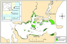 You may do so in any reasonable manner, but not in. Maps Showing The Location Of Study Estuaries In New South Wales Download Scientific Diagram