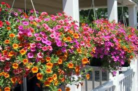 The hanging planter ideas listed here should provide you with the inspiration you need to make your garden an enticing and colorful oasis this summer. You Have A Penchant For Hanging Plants Hanging Flower Pots On The Porch Interior Design Ideas Avso Org