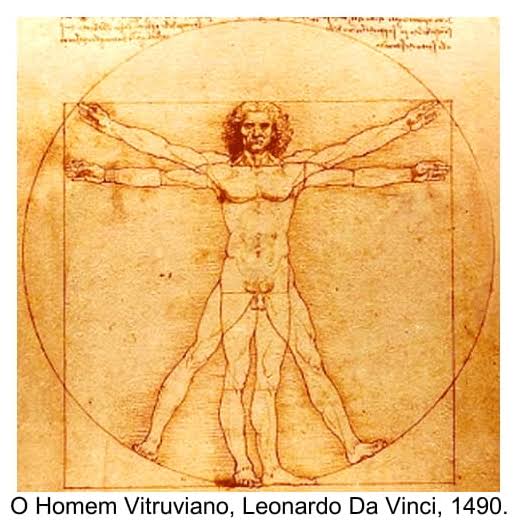 Image result for homem vitruviano da vinci"