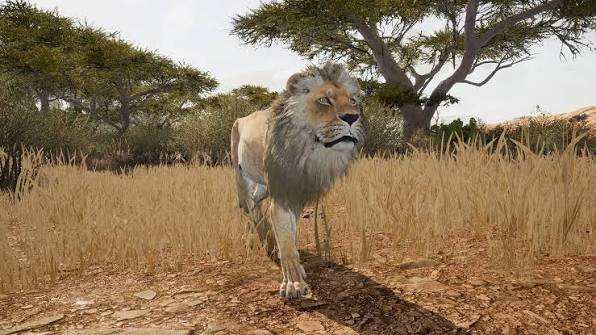 Animalia Survival - Download