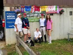 Maybe you would like to learn more about one of these? Oak Hollow Stables Horse Boarding Farm In Clearwater Florida