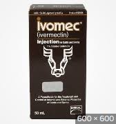Consumer information about the medication ivermectin (stromectol) side effects, drug interactions, recommended dosages, and storage information. 154 Ivermectin To Treat Covid 19 Dr Pam S Vet Blog