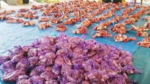 Check spelling or type a new query. Siapa Berhak Terima Daging Qurban Apa Larangannya Simak Yuk Polewali Terkini